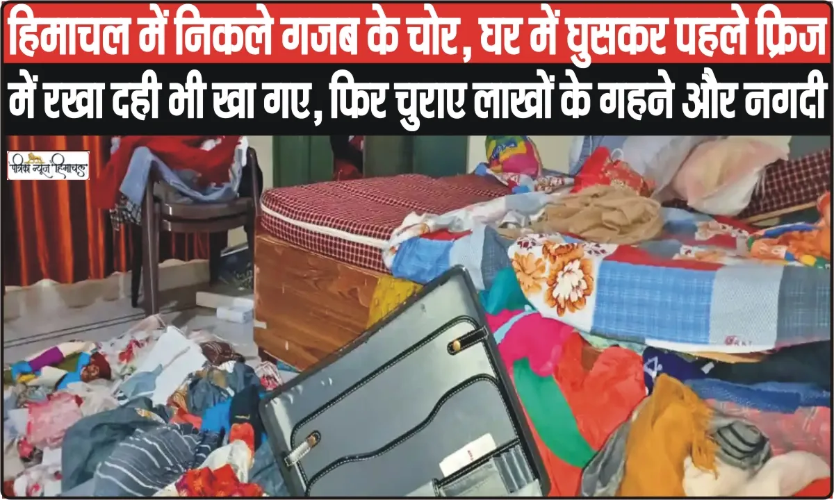 Himachal News || हिमाचल में निकले गजब के चोर, घर में घुसकर पहले फ्रिज में रखा दही भी खा गए, फिर चुराए लाखों के गहने और नगदी