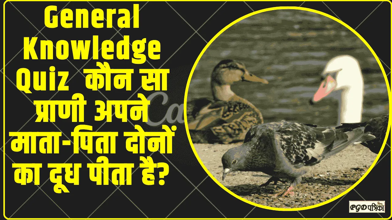 General Knowledge Quiz ||  कौन सा प्राणी अपने माता-पिता दोनों का दूध पीता है?