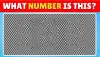 Optical Illusion: दिमाग हिला देने वाली फोटो, दम है तो इस फोटो में रहस्यमयी संख्या क्या है, सेंकड में खोजना होगा जवाब