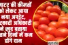 Tomato Price Hike | टमाटर की कीमतों को लेकर आया बड़ा अपडेट, इन दिन से कम होंगे दाम 