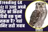 Trending GK Quiz ll उल्लू अपने सिर को कितने डिग्री तक घुमा सकता है? यहां जानिए सही जवाब