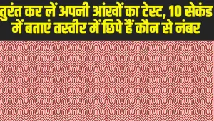 Optical Illusion : तुरंत कर लें अपनी आंखों का टेस्ट, 10 सेकंड में बताएं तस्वीर में छिपे हैं कौन से नंबर