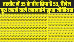 Optical Illusion: तस्वीर में 35 के बीच छिपा है 53, चैंलेज पूरा करने वाले कहलाएंगे सुपर जीनियस