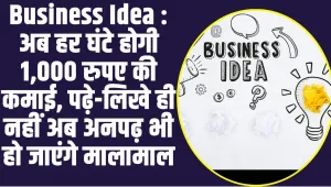 Business Idea : अब हर घंटे होगी 1,000 रुपए की कमाई, पढ़े-लिखे ही नहीं अब अनपढ़ भी हो जाएंगे मालामाल