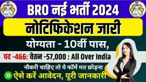 BRO Vacancy 2024: बीआरओ में निकली बंपर भर्ती, 450+ वैकेंसी के लिए यहां देखें फॉर्म डेट