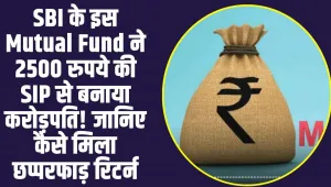 SBI Mutual Fund: SBI के इस Mutual Fund में मिल रहा छप्परफाड़ रिटर्न,  2500 रुपये की SIP से बनाया करोड़पति! 