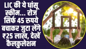 LIC Jeevan Anand Policy :  LIC की इस स्कीम में केवल 45 रूपये जमा करने पर इतने साल बाद मिलेगा ₹25 लाख, देखें कैलकुलेशन