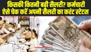 8th Pay Commission News:  सरकारी कर्मचारियों के लिए बड़ी खुशखबरी, कर्मचारी ऐसे चेक करें अपनी सैलरी का करंट स्टेटस