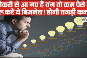 Business Idea 2024 ||  नौकरी से आ गए हैं तंग तो कम पैसे में शुरू करें ये बिजनेस! होगी तगड़ी कमाई