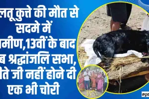 OMG || पालतू कुत्ते की मौत से सदमे में ग्रामीण,13वीं के बाद अब श्रद्धांजलि सभा, जीते जी कुत्ते ने गांव नहीं होने दी एक भी चोरी