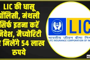 LIC Jeevan Labh Policy || हर दिन के खर्चे से बचा लो 252 रुपये, मैच्योरिटी पर मिलेंगे 54 लाख, एलआईसी की ये स्कीम है बुढ़ापे की लाठी