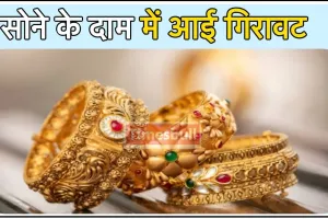 Gold Price Today  || रविवार को आसमान से सुबह – सुबह उल्टे मुंह गिरे गोल्ड के रेट, जानिए 10 ग्राम गोल्ड के रेट