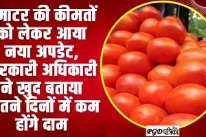 Tomato Price Hike | टमाटर की कीमतों को लेकर आया बड़ा अपडेट, इन दिन से कम होंगे दाम 