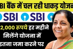 SBI Unity Deposit Scheme || SBI की जबरदस्त स्कीम, एक बार निवेश करने पर चैन से कटेगा बुढ़ापा,