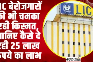 LIC Saving Scheme | LIC बेरोजगारों की भी चमका रही किस्मत, जानिए कैसे दे रही 25 लाख रुपये का लाभ