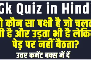 Important GK Questions || वो कौन सा पक्षी है जो चलता भी है और उड़ता भी है लेकिन पेड़ पर नहीं बैठता?