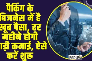 Business Idea ll पैकिंग के बिजनेस में है खूब पैसा, हर महीने होगी तगड़ी कमाई, ऐसे करें शुरू