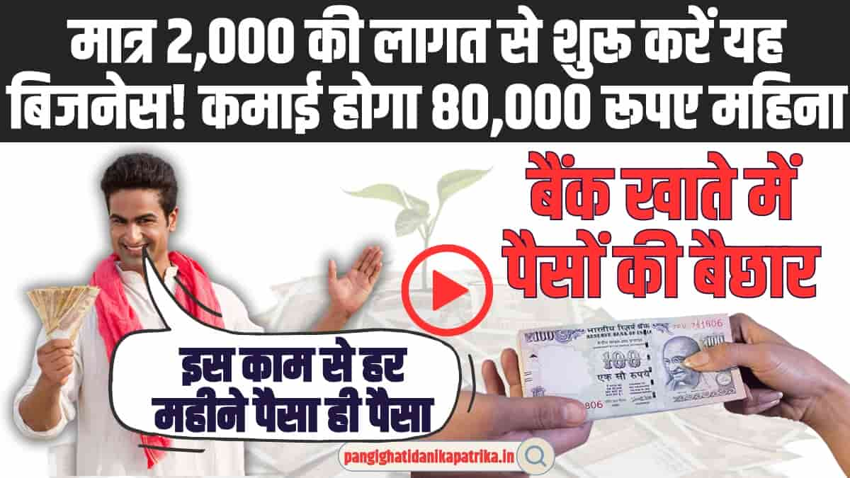 Best Business Idea : नहीं मिली सरकारी नौकरी तो आज ही शुरू करें यह बिजनेस, हर महीने होगी 80,000 रूपए की कमाई 